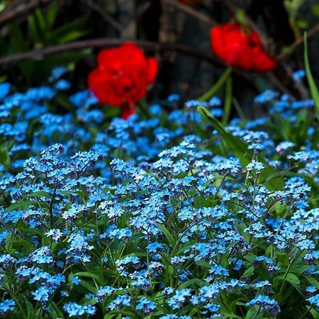 Ventspils Garden House Exterior foto
